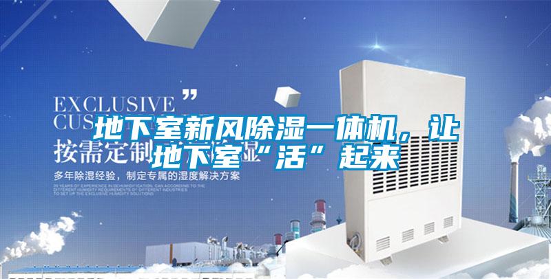 地下室新风除湿一体机,让地下室“活”起来