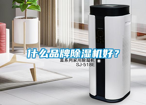 什么品牌除湿机好？