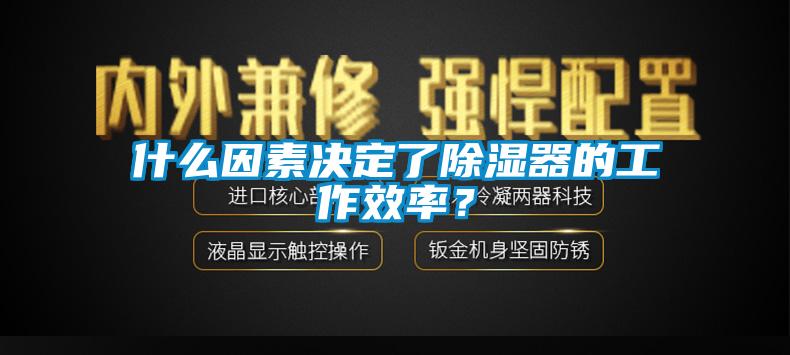什么因素决定了除湿器的工作效率?