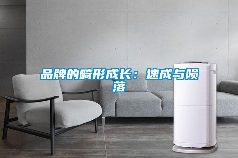 品牌的畸形成长：速成与陨落