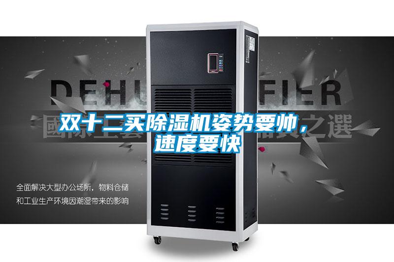 双十二买除湿机姿势要帅, 速度要快