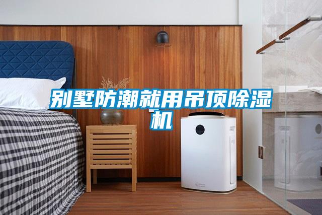 别墅防潮就用吊顶除湿机