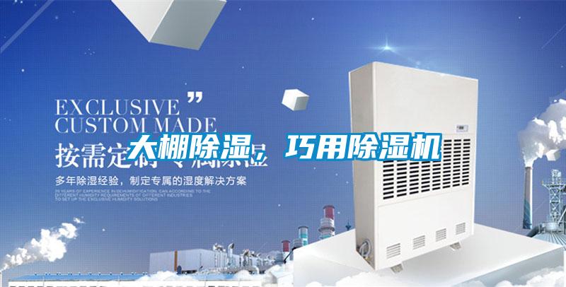 大棚除湿,巧用除湿机