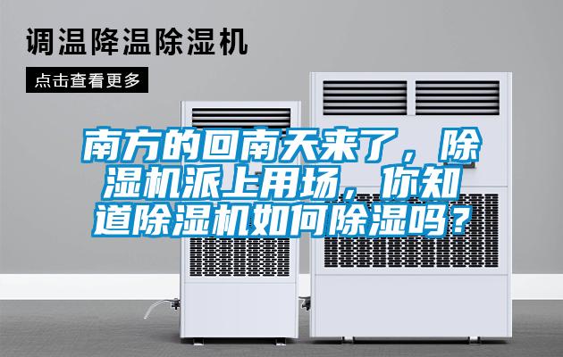 南方的回南天来了，除湿机派上用场，你知道除湿机如何除湿吗？