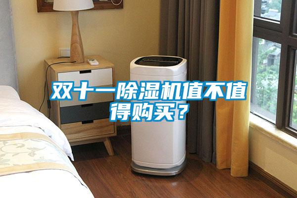 双十一除湿机值不值得购买?