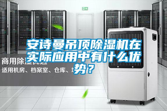 安诗曼吊顶除湿机在实际应用中有什么优势?