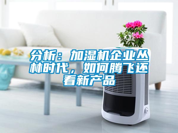 分析：加湿机企业丛林时代，如何腾飞还看新产品
