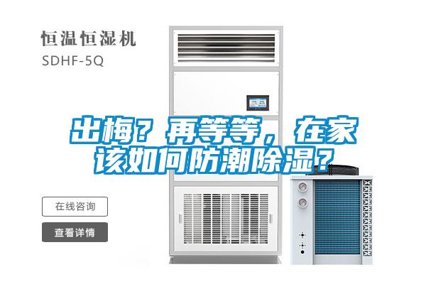 出梅？再等等，在家该如何防潮除湿？