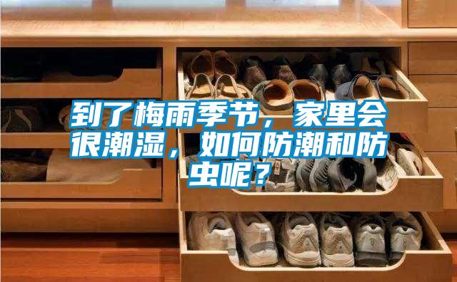 到了梅雨季节，家里会很潮湿，如何防潮和防虫呢？