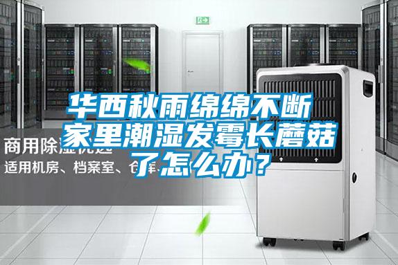 华西秋雨绵绵不断 家里潮湿发霉长蘑菇了怎么办？