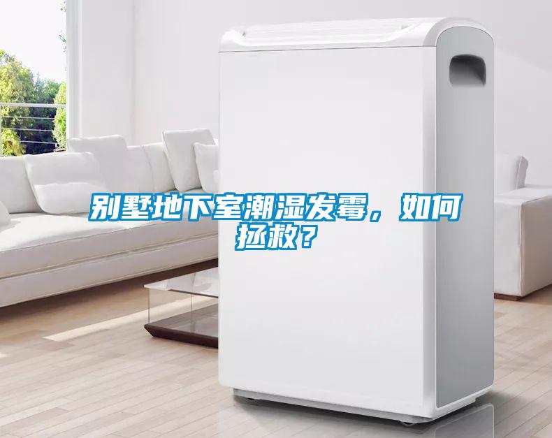 别墅地下室潮湿发霉，如何拯救？