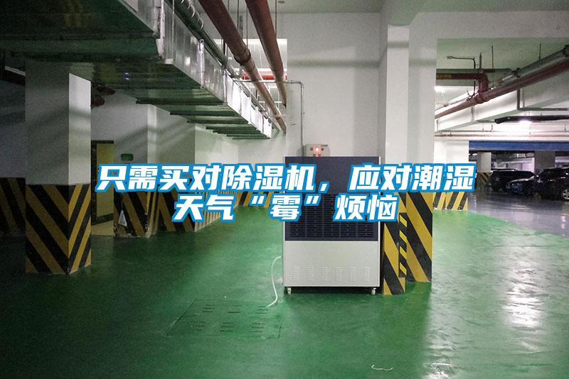 只需买对除湿机，应对潮湿天气“霉”烦恼