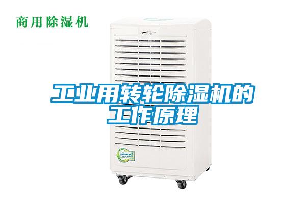 工业用转轮除湿机的工作原理