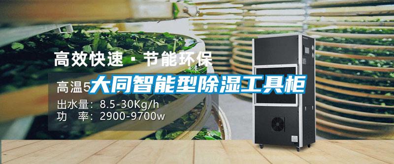 大同智能型除湿工具柜