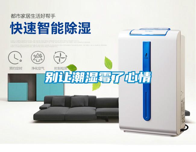 别让潮湿霉了心情