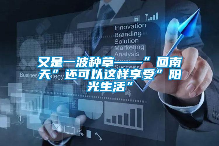 又是一波种草——”回南天”还可以这样享受”阳光生活”