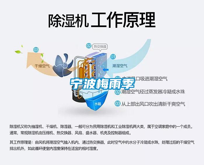 宁波梅雨季