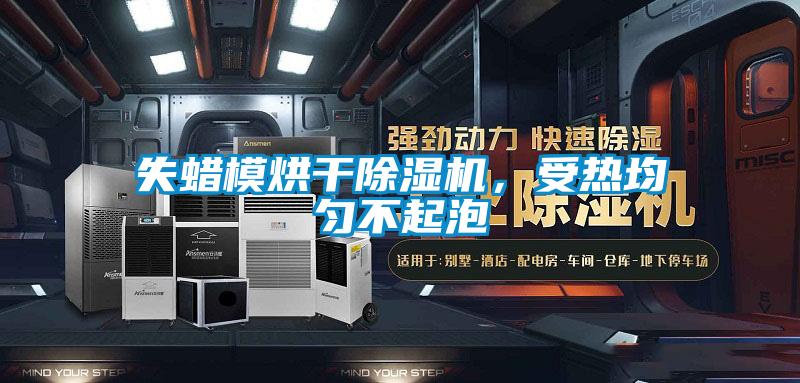 失蜡模烘干除湿机，受热均匀不起泡