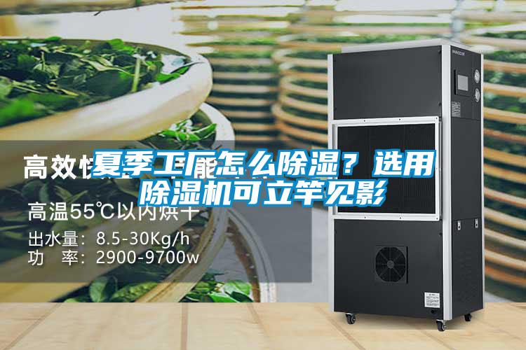 夏季工厂怎么除湿？选用除湿机可立竿见影