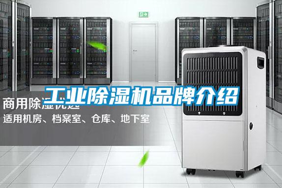 工业除湿机品牌介绍