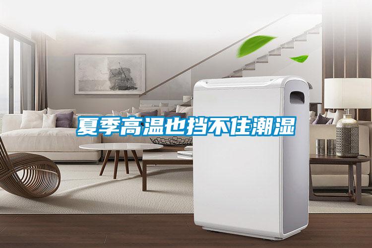 夏季高温也挡不住潮湿
