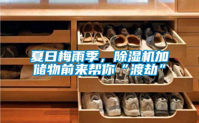 夏日梅雨季,除湿机加储物前来帮你“渡劫”
