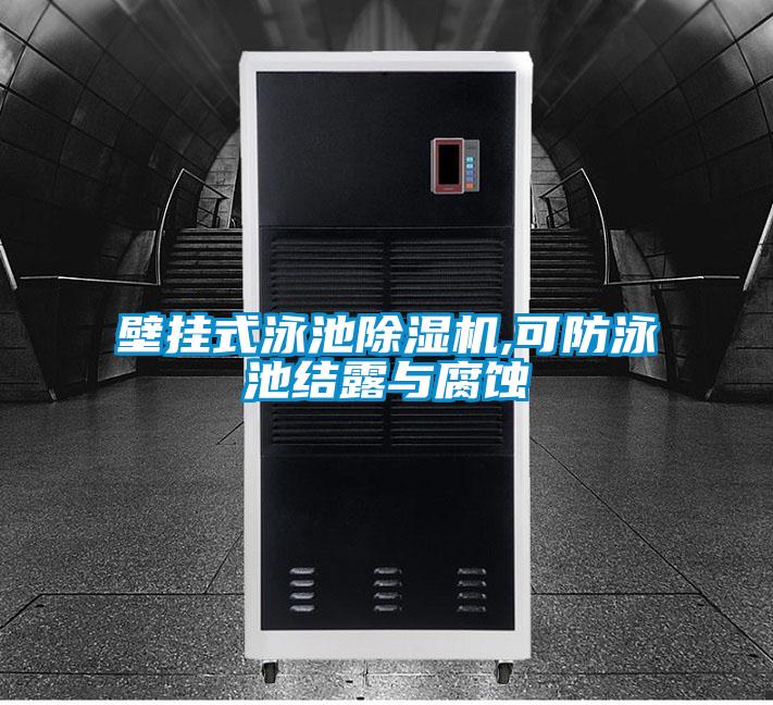 壁挂式泳池除湿机,可防泳池结露与腐蚀