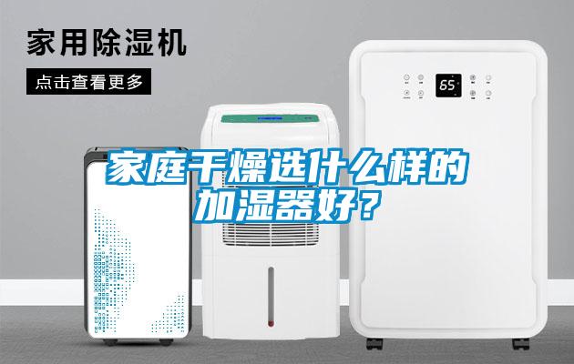 家庭干燥选什么样的加湿器好？
