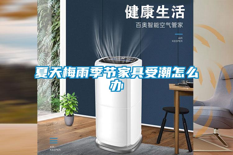 夏天梅雨季节家具受潮怎么办