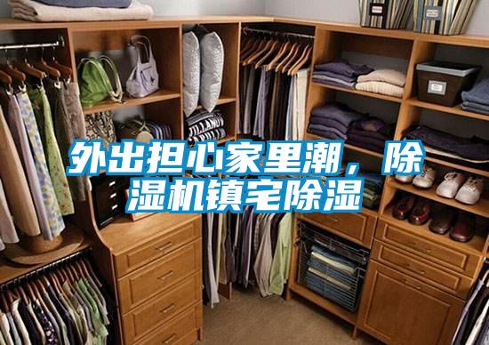 外出担心家里潮，除湿机镇宅除湿
