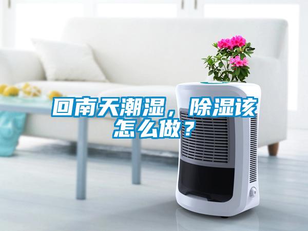 回南天潮湿，除湿该怎么做？