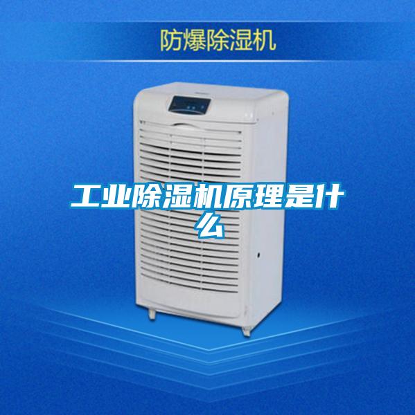 工业除湿机原理是什么