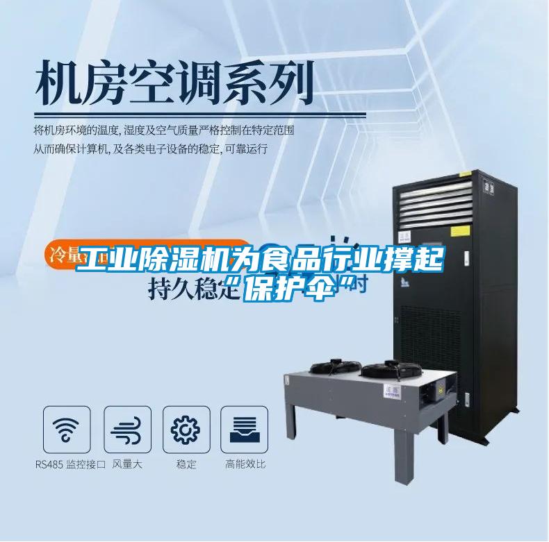 工业除湿机为食品行业撑起“保护伞”