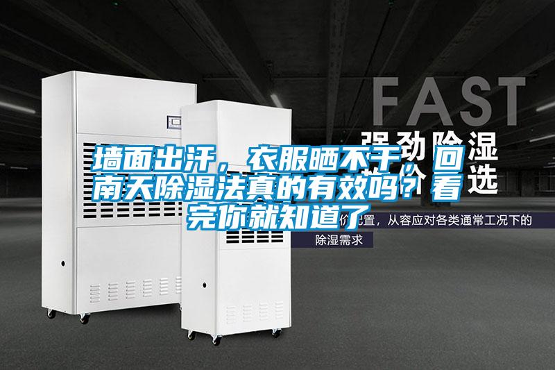 墙面出汗，衣服晒不干，回南天除湿法真的有效吗？看完你就知道了