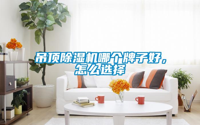 吊顶除湿机哪个牌子好，怎么选择