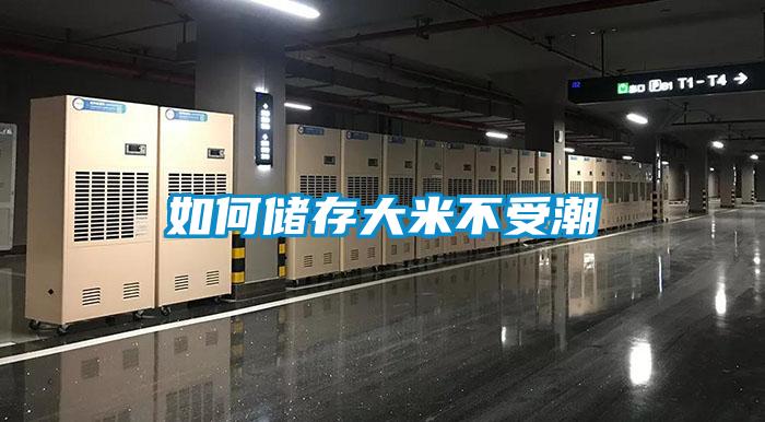 如何储存大米不受潮