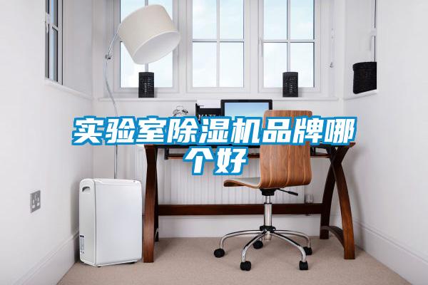 实验室除湿机品牌哪个好