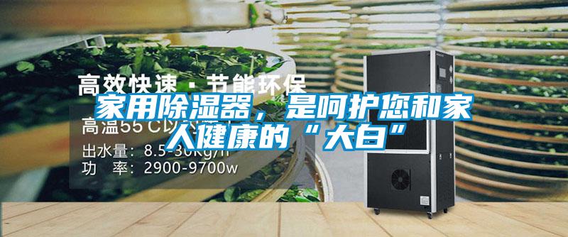 家用除湿器，是呵护您和家人健康的“大白”