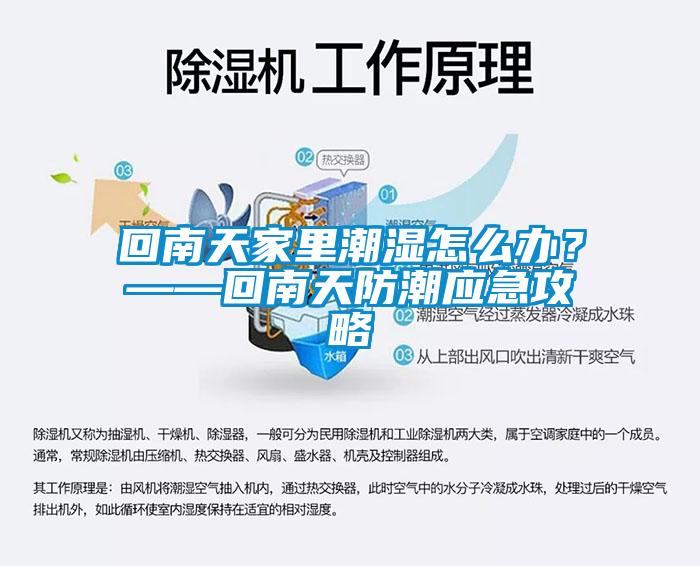 回南天家里潮湿怎么办？——回南天防潮应急攻略