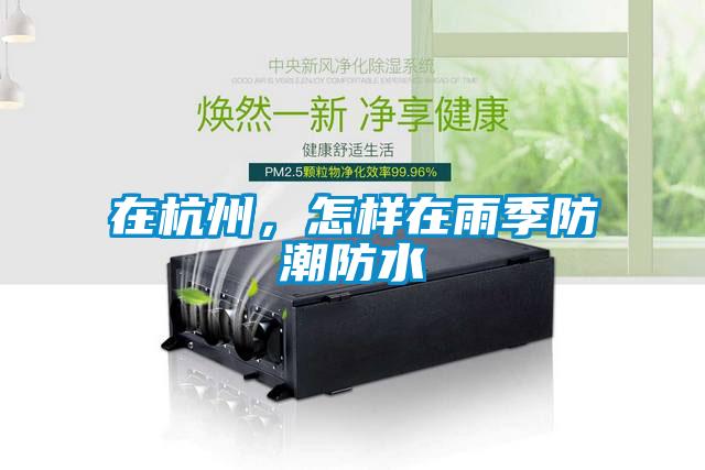 在杭州,怎样在雨季防潮防水