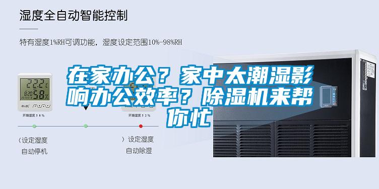 在家办公？家中太潮湿影响办公效率？除湿机来帮你忙
