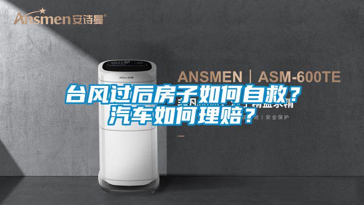 台风过后房子如何自救？汽车如何理赔？