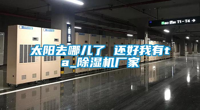 太阳去哪儿了 还好我有ta_除湿机厂家