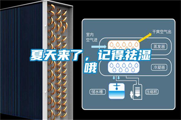 夏天来了，记得祛湿哦