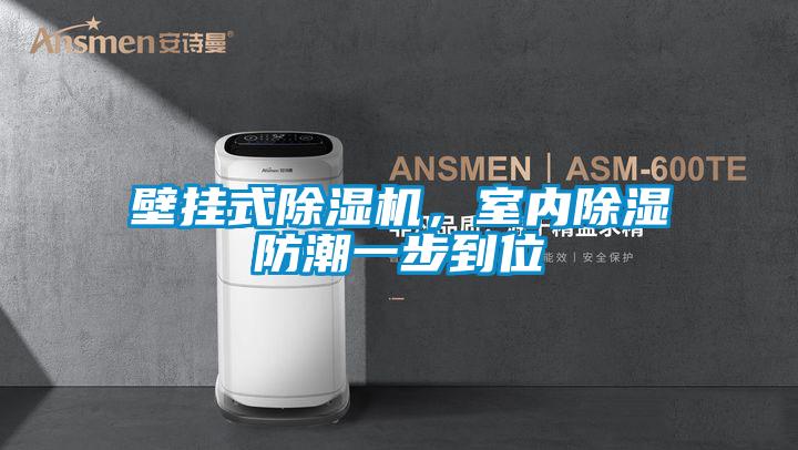 壁挂式除湿机，室内除湿防潮一步到位
