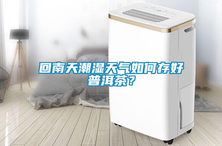 回南天潮湿天气如何存好普洱茶？