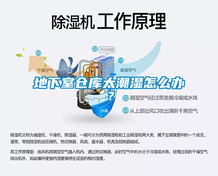 地下室仓库太潮湿怎么办？