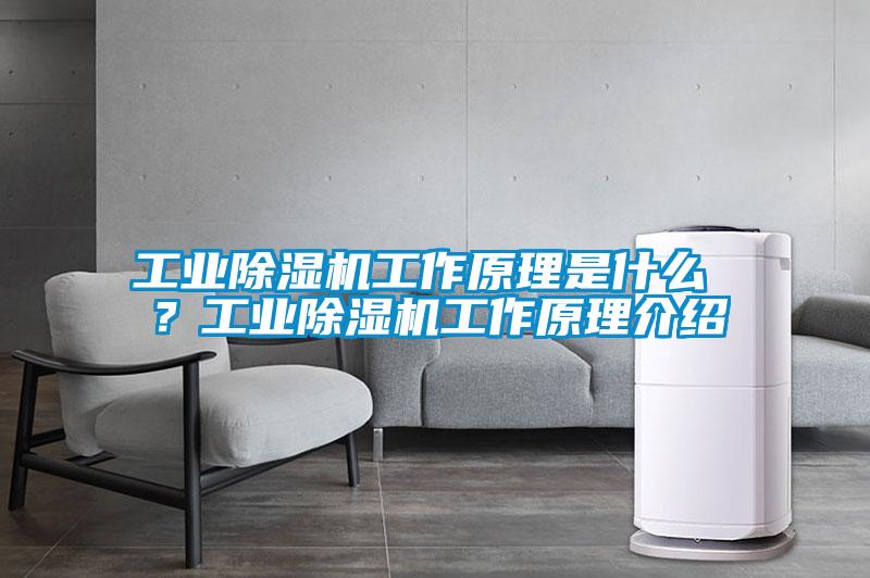 工业除湿机工作原理是什么 ?工业除湿机工作原理介绍