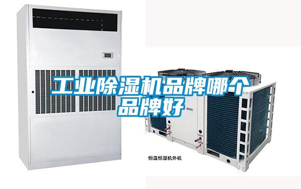 工业除湿机品牌哪个品牌好