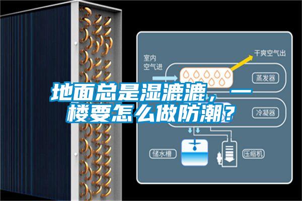 地面总是湿漉漉，一楼要怎么做防潮？